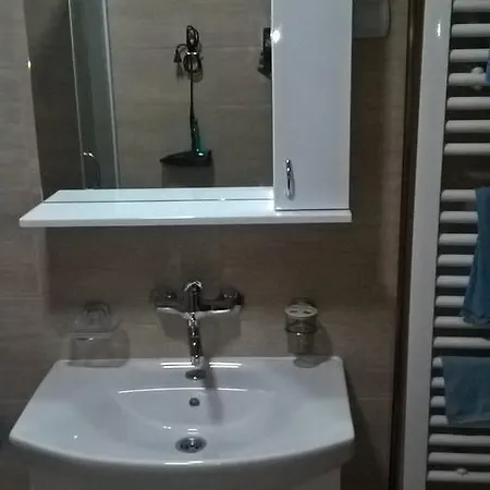 公寓 Djurdja 2 阿然德洛维克